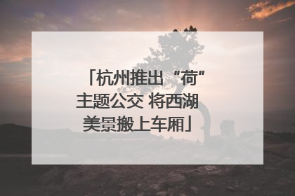 杭州推出“荷”主题公交 将西湖美景搬上车厢