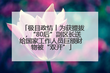 极目政情丨为获提拔，“80后”副区长送给国家工作人员巨额财物被“双开”