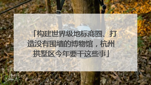 构建世界级地标商圈、打造没有围墙的博物馆，杭州拱墅区今年要干这些事