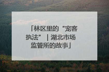 林区里的“宠客执法”｜湖北市场监管所的故事