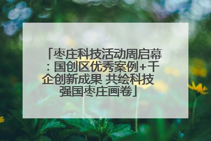 枣庄科技活动周启幕：国创区优秀案例+千企创新成果 共绘科技强国枣庄画卷