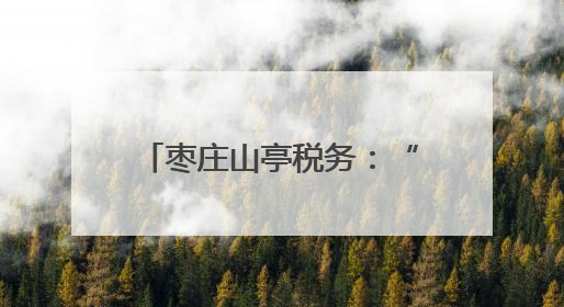 枣庄山亭税务：“税务蓝”助力退役军人“再起航”