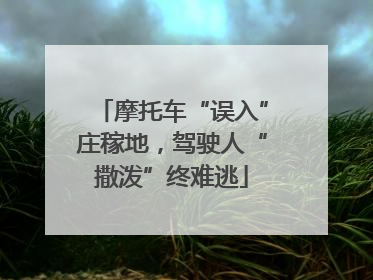 摩托车“误入”庄稼地，驾驶人“撒泼”终难逃
