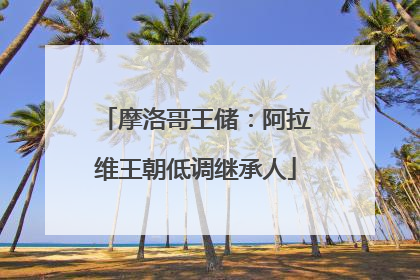 摩洛哥王储：阿拉维王朝低调继承人