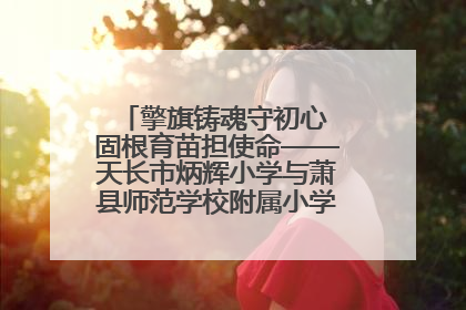 擎旗铸魂守初心 固根育苗担使命——天长市炳辉小学与萧县师范学校附属小学结对共建活动纪实