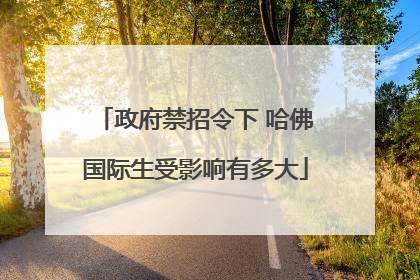 政府禁招令下 哈佛国际生受影响有多大
