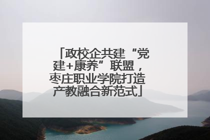 政校企共建“党建+康养”联盟，枣庄职业学院打造产教融合新范式
