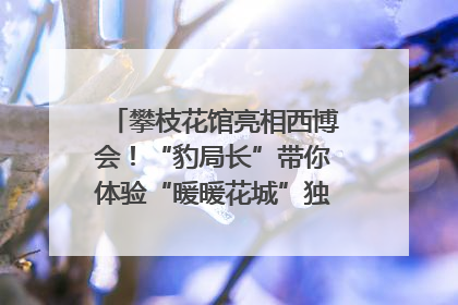 攀枝花馆亮相西博会！“豹局长”带你体验“暖暖花城”独特魅力｜西博视界