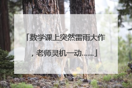数学课上突然雷雨大作，老师灵机一动……