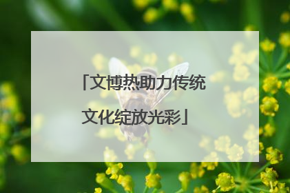 文博热助力传统文化绽放光彩