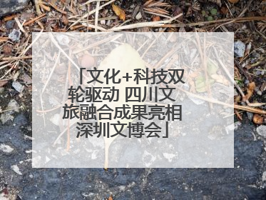 文化+科技双轮驱动 四川文旅融合成果亮相深圳文博会