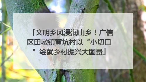 文明乡风浸润山乡！广信区田墩镇黄坑村以“小切口”绘就乡村振兴大图景