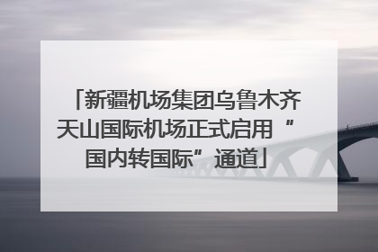新疆机场集团乌鲁木齐天山国际机场正式启用“国内转国际”通道
