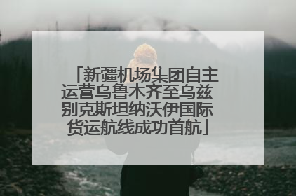 新疆机场集团自主运营乌鲁木齐至乌兹别克斯坦纳沃伊国际货运航线成功首航