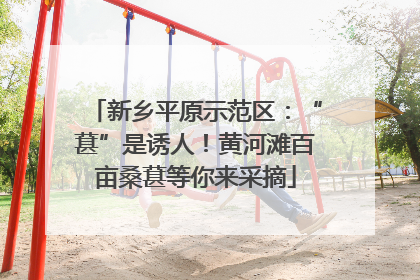 新乡平原示范区：“葚”是诱人！黄河滩百亩桑葚等你来采摘