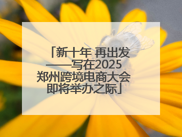 新十年 再出发——写在2025郑州跨境电商大会即将举办之际