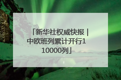 新华社权威快报｜中欧班列累计开行110000列