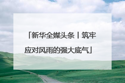 新华全媒头条丨筑牢应对风雨的强大底气