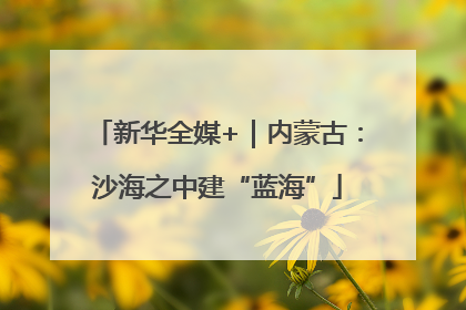 新华全媒+｜内蒙古：沙海之中建“蓝海”