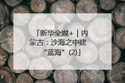 新华全媒+｜内蒙古：沙海之中建“蓝海”(2)