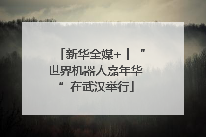 新华全媒+丨“世界机器人嘉年华”在武汉举行