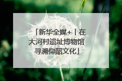 新华全媒+丨在大河村遗址博物馆寻溯仰韶文化