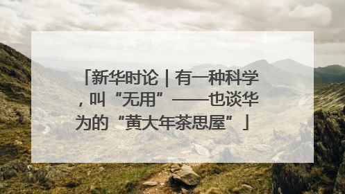 新华时论｜有一种科学，叫“无用”——也谈华为的“黄大年茶思屋”