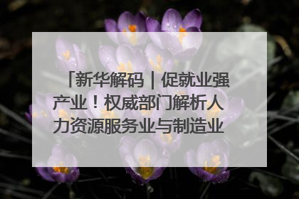 新华解码｜促就业强产业！权威部门解析人力资源服务业与制造业融合发展试点