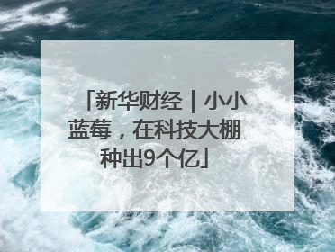 新华财经｜小小蓝莓，在科技大棚种出9个亿