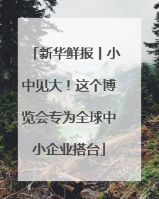 新华鲜报丨小中见大！这个博览会专为全球中小企业搭台