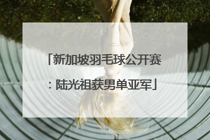 新加坡羽毛球公开赛：陆光祖获男单亚军