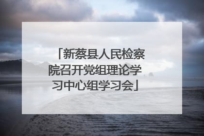新蔡县人民检察院召开党组理论学习中心组学习会