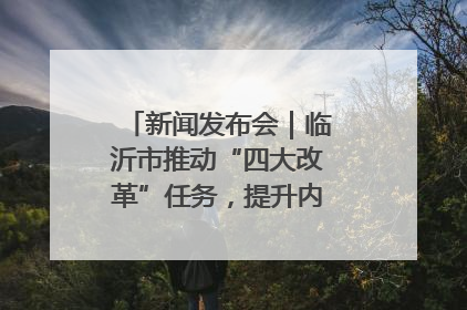新闻发布会｜临沂市推动“四大改革”任务，提升内部审计监督效能