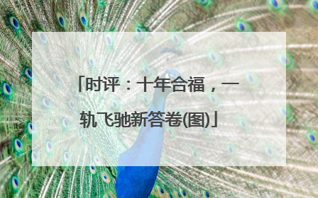 时评：十年合福，一轨飞驰新答卷(图)