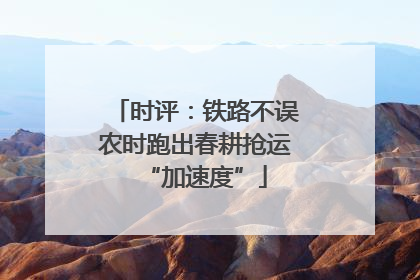 时评：铁路不误农时跑出春耕抢运“加速度”
