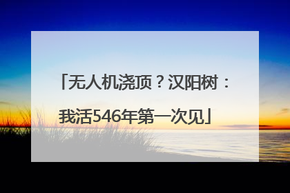 无人机浇顶？汉阳树：我活546年第一次见