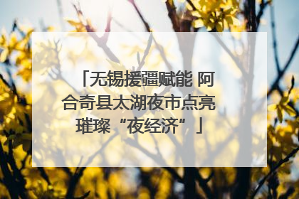 无锡援疆赋能 阿合奇县太湖夜市点亮璀璨“夜经济”