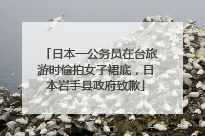 日本一公务员在台旅游时偷拍女子裙底，日本岩手县政府致歉