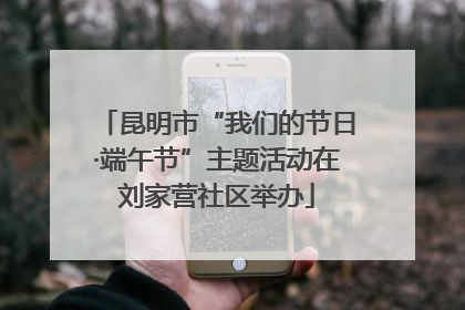 昆明市“我们的节日·端午节”主题活动在刘家营社区举办