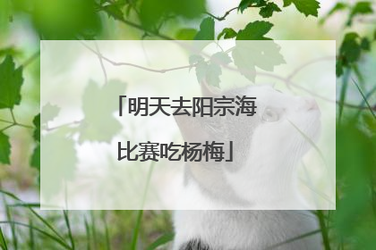 明天去阳宗海比赛吃杨梅