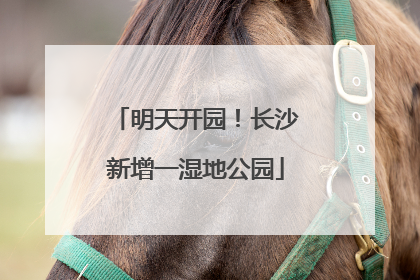 明天开园！长沙新增一湿地公园