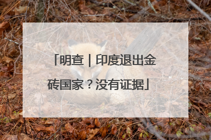 明查｜印度退出金砖国家？没有证据