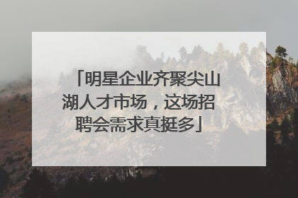 明星企业齐聚尖山湖人才市场，这场招聘会需求真挺多