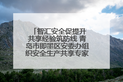 智汇安全促提升 共享经验筑防线 青岛市即墨区安委办组织安全生产共享专家现场观摩学习活动