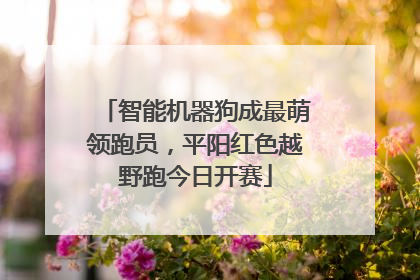 智能机器狗成最萌领跑员，平阳红色越野跑今日开赛