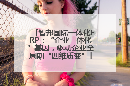 智邦国际一体化ERP：“企业一体化”基因，驱动企业全周期“四维质变”