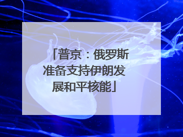 普京：俄罗斯准备支持伊朗发展和平核能