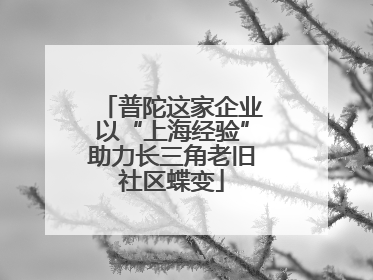 普陀这家企业以“上海经验”助力长三角老旧社区蝶变
