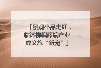 景观小品走红，临沭柳编藤编产业成文旅“新宠”