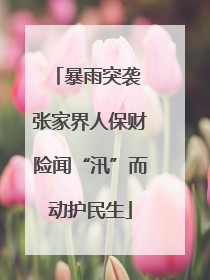 暴雨突袭 张家界人保财险闻“汛”而动护民生